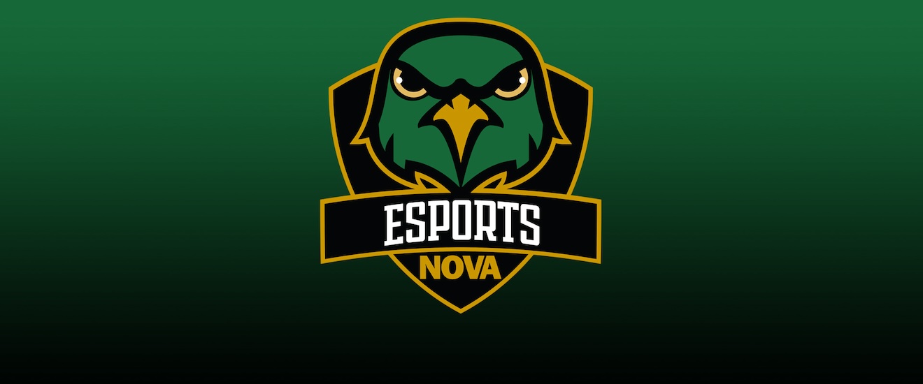 image of the esports logo