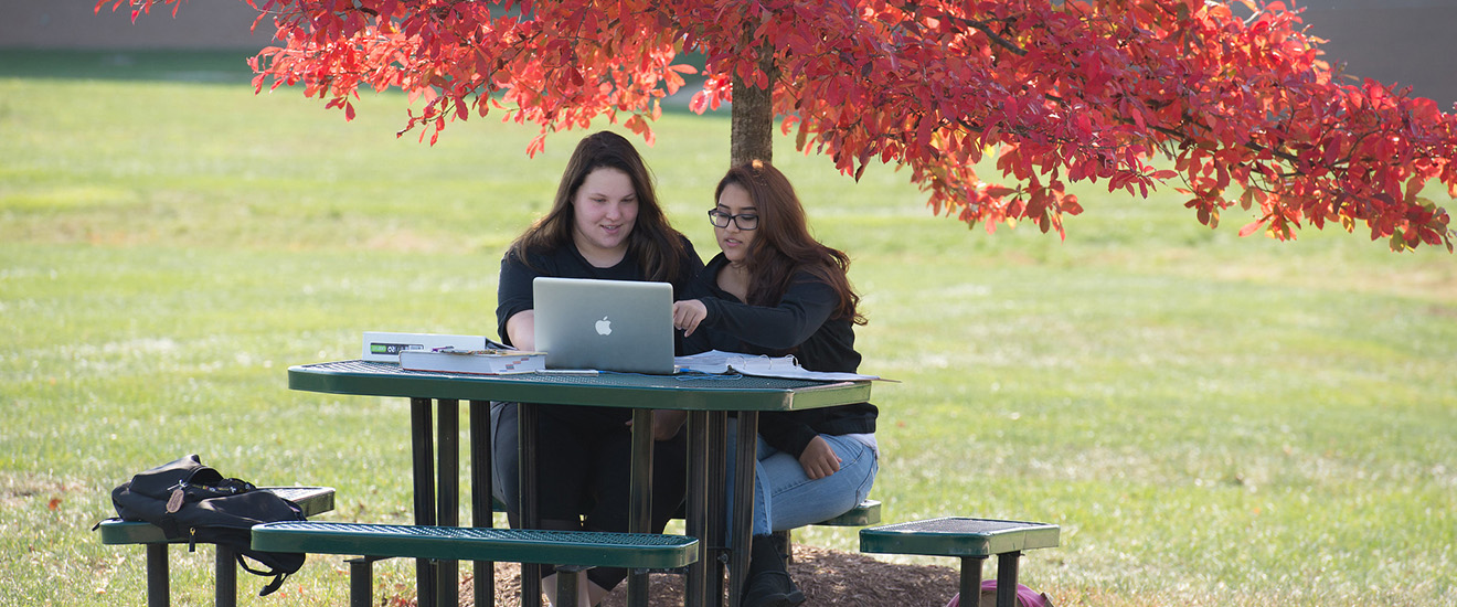 Students working on laptops at a picnic table outdoors