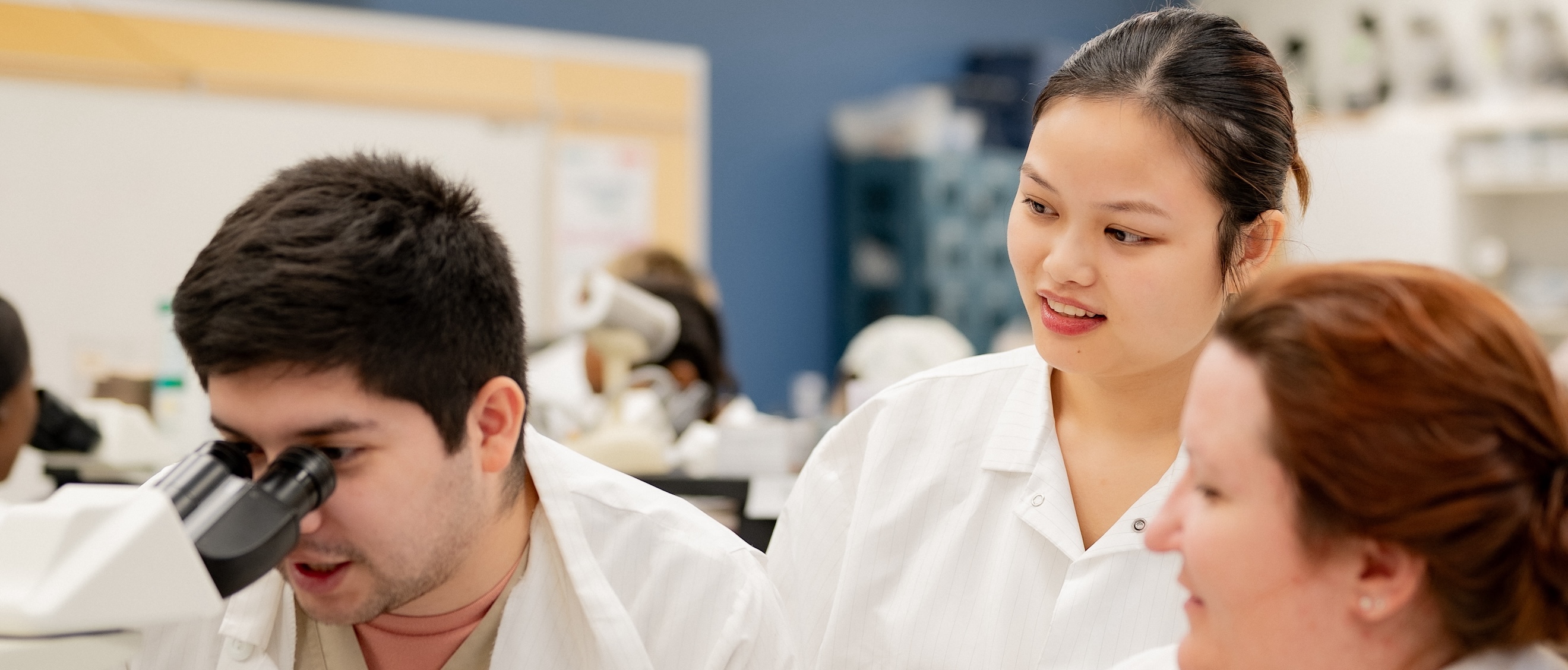 Medical students working in a lab